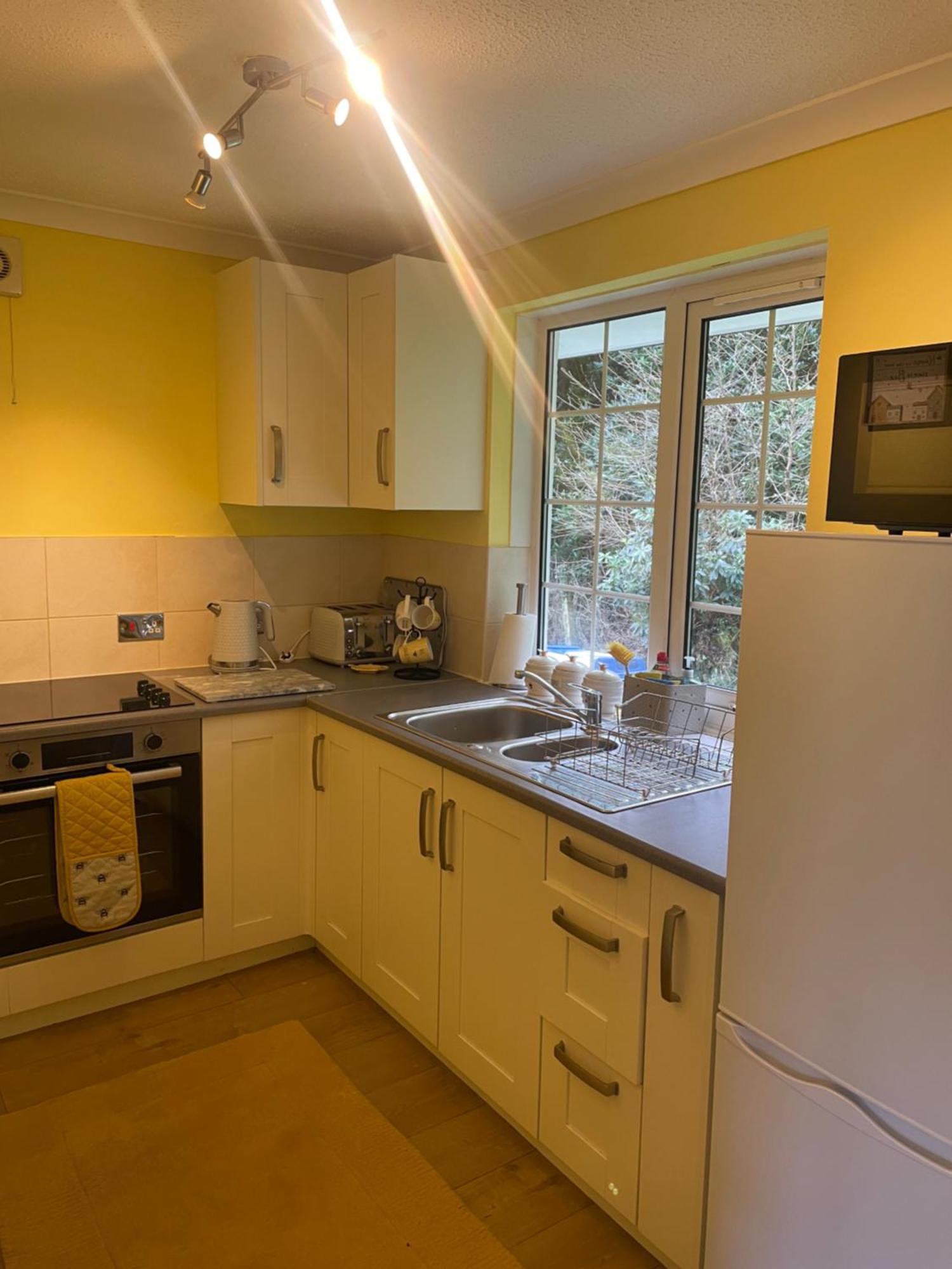 Bumblebee Lodge Saint Cleer المظهر الخارجي الصورة